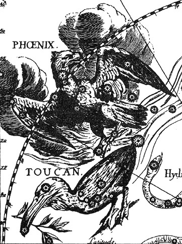 http://myfhology.narod.ru/stella-myth/phoenix.gif