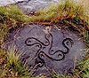 http://myfhology.narod.ru/magik-things/swastika-stone1.jpg