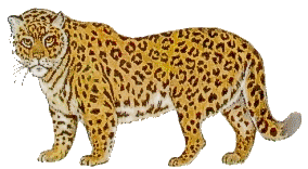 http://myfhology.narod.ru/myth-animals/leopard.gif